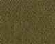 Olive (36)