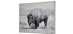 Grand cadre 48 x 36 pouces Buffle North Range canevas peint