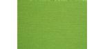Lime Green Adirondack chair cushion