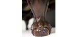 Table de billard 9 pieds de marque Majestic Pinnacle au fini noyer