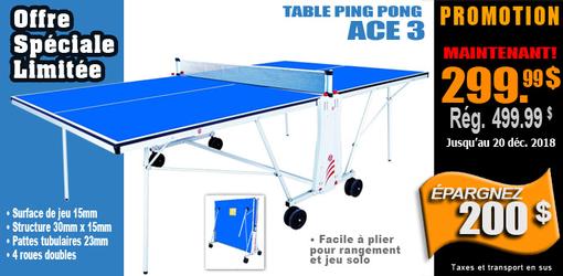 Table de tennis ping pong Ace 3