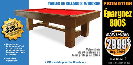 Table de billard Windsor 8 pieds